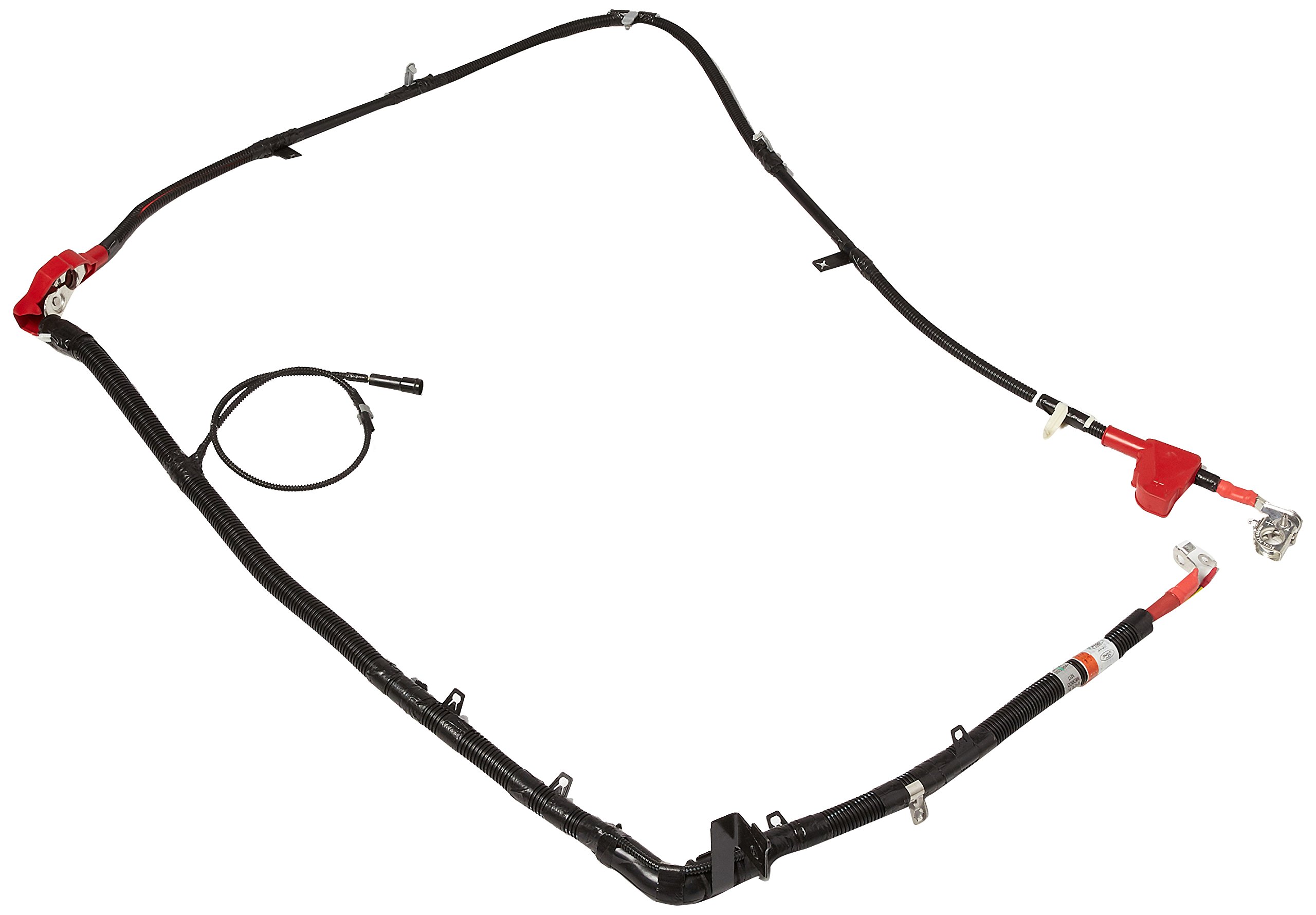Amazon.com: Ford Genuine 3C3Z-14300-CA Cable Assembly Battery